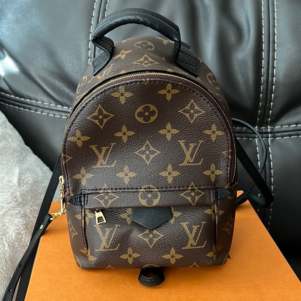 Louis Vuitton Palm Springs Mini